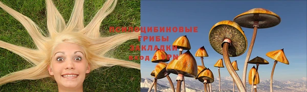 прущий лед Абаза