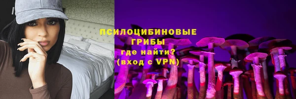прущий лед Абаза