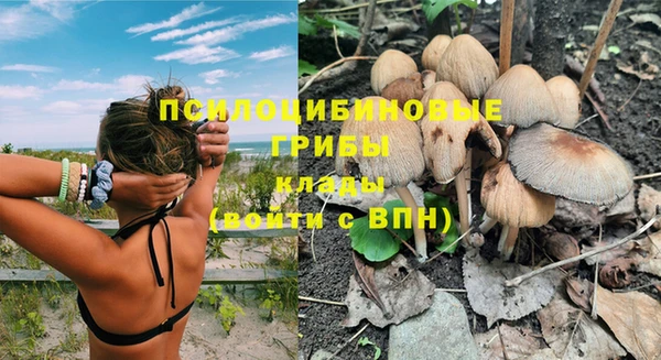 PSILOCYBIN Зеленокумск