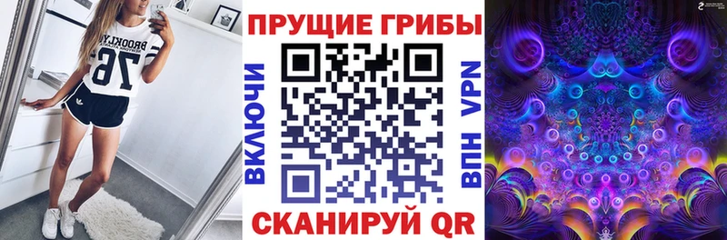 Псилоцибиновые грибы GOLDEN TEACHER  где купить   Мостовской 